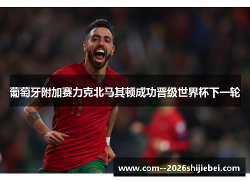 葡萄牙附加赛力克北马其顿成功晋级世界杯下一轮