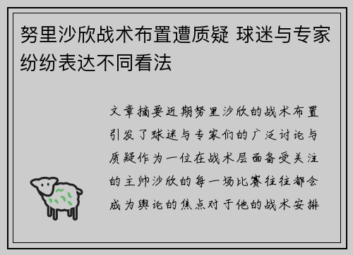 努里沙欣战术布置遭质疑 球迷与专家纷纷表达不同看法